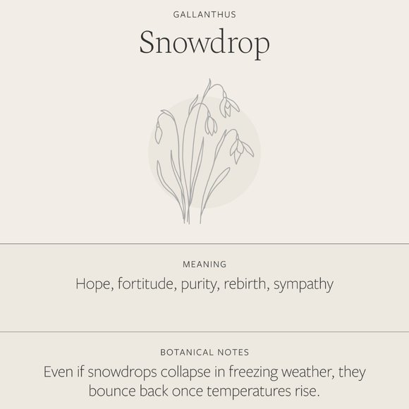 Snowdrop January Birth Flower Boho Charm Necklace - Picture 8 of 16